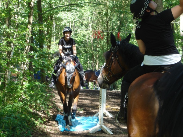 DSC06532 - HOMEPAGE.JPG